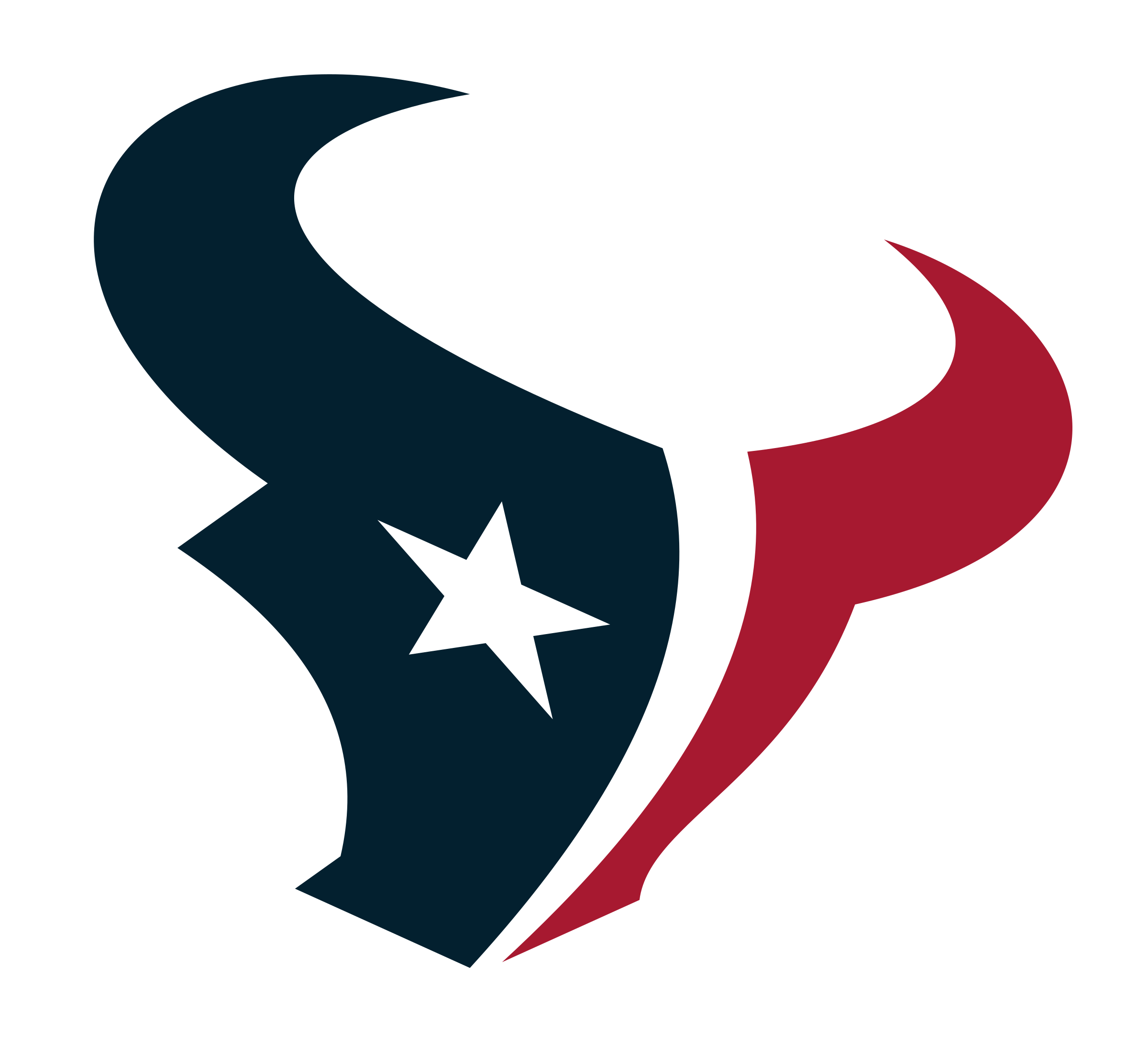 Houston Texans