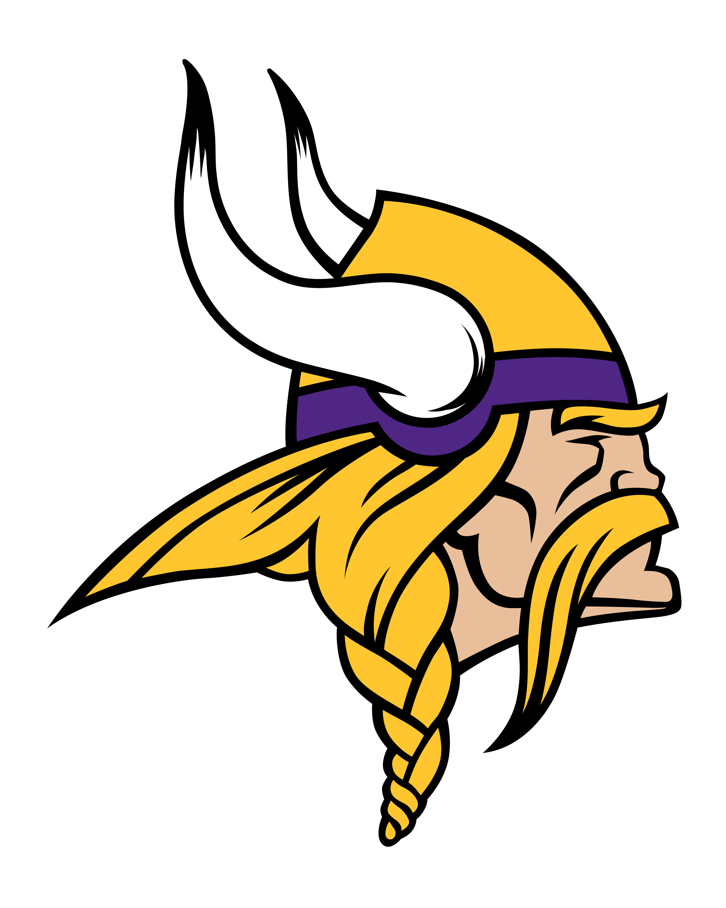 Minnesota Vikings